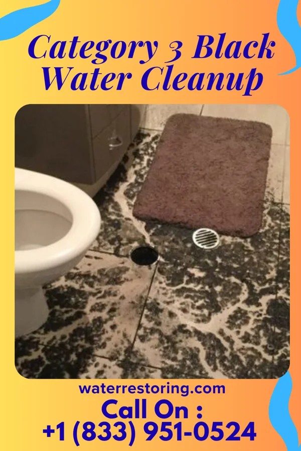 Category 3 Black Water Cleanup in Novinger, MO