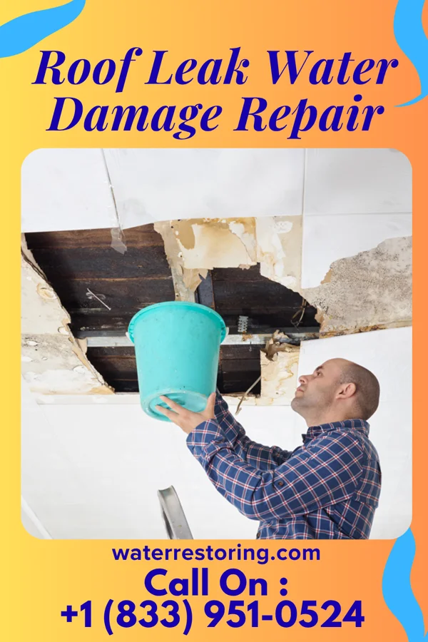 Roof Leak Water Damage Repair in Novinger, MO