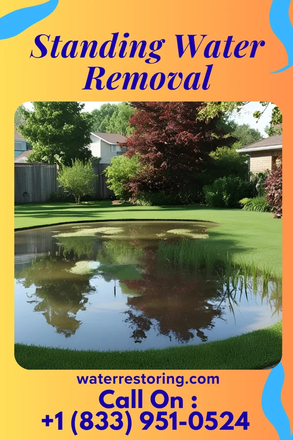 Standing Water Removal in Novinger, MO